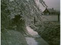 Winter in Hantumhuizen   Woning aan Wierumerweg   1987