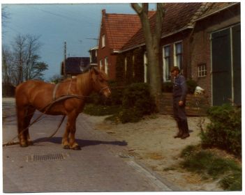 Jan van der Meer   15rechtsonder