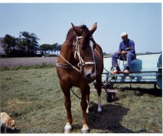 Jan van der Meer   36rechtsboven