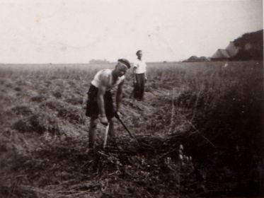 IMG 20200509 0001  7 