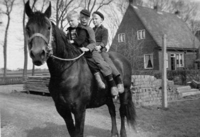 op het paard van douwe velink