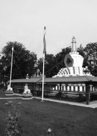 stoepa   overzicht staand