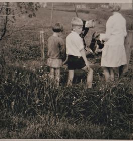 img 20210510 0004  3    kopie