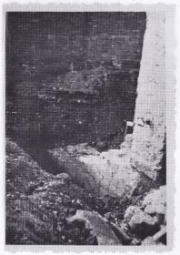 img 20210518 0003   kopie  2 