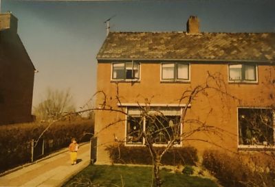 img 8559   kopie  2  nr