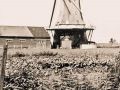 molen123