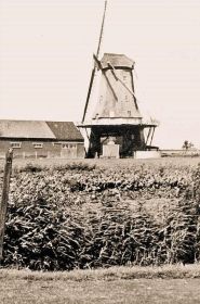 molen123